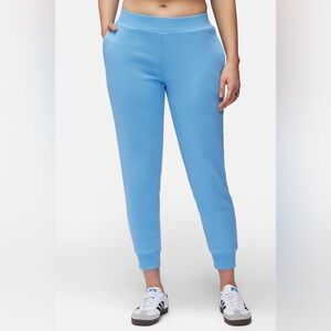 Wildfox Lake Is Life Libby J / Silver Lake Blue color / Joggers